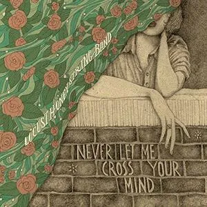 Never let me cross your mind